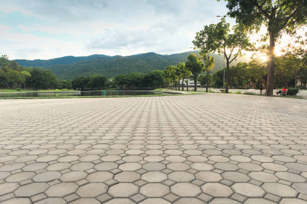 Best Commercial Driveway Pavers  in Ladson, SC