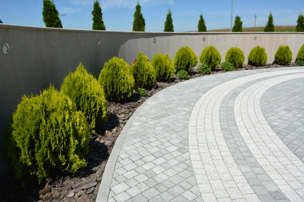 Best Decorative Driveway Pavers  in Ladson, SC